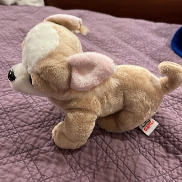 Who can resist this face?! Chihuahua by Webkinz - Picture 3 of 6